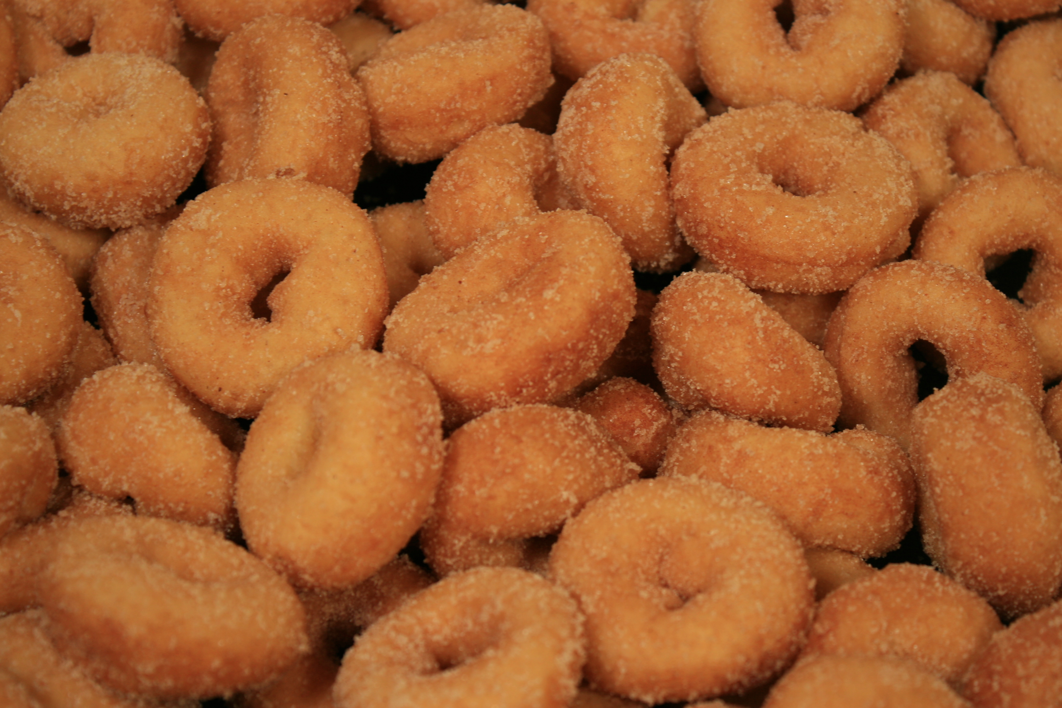 Lil' Orbits fresh, hot mini donuts